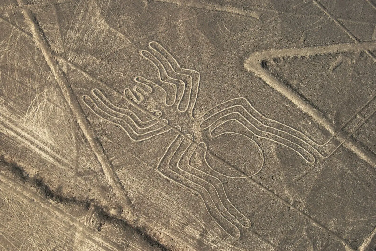 Nazca Lines Flight Tour